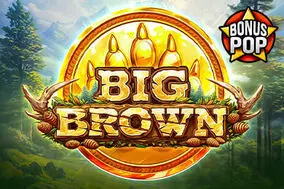 Big Brown